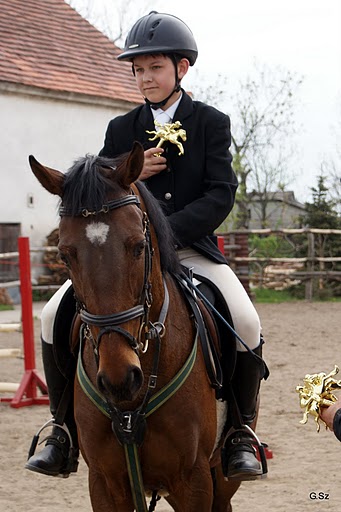 Zawody jeździeckie w skokach