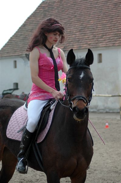 Zawody jeździeckie w skokach