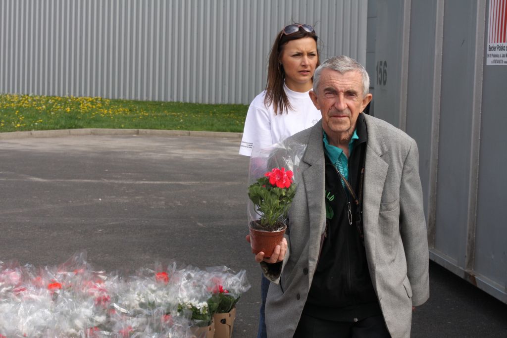 Sadzonki za żużyty telewizor lub pralkę