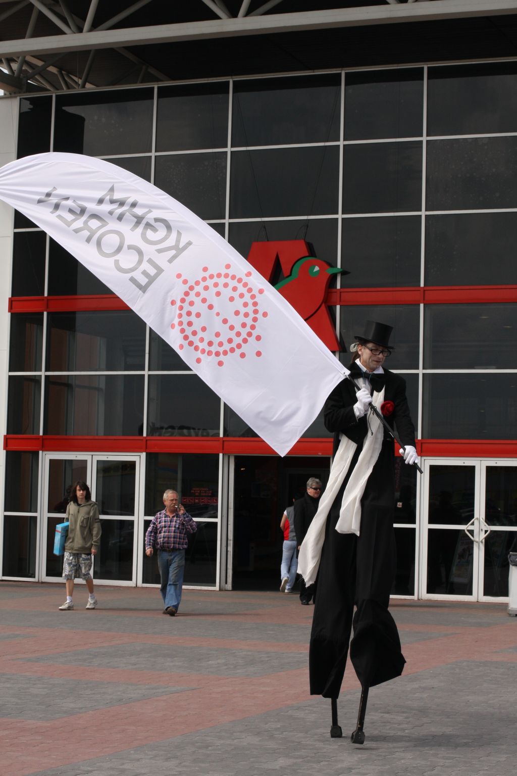 Sadzonki za żużyty telewizor lub pralkę
