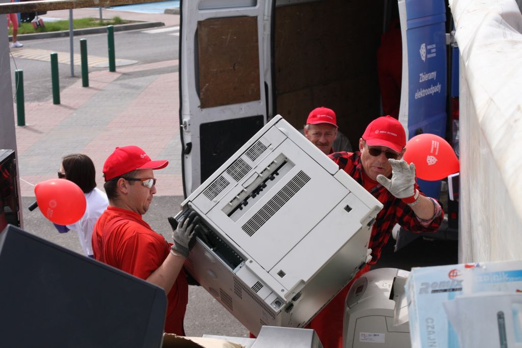 Sadzonki za żużyty telewizor lub pralkę