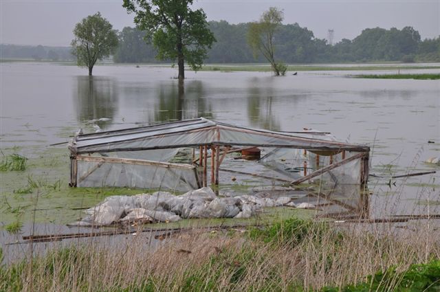 Umacnianie wałów