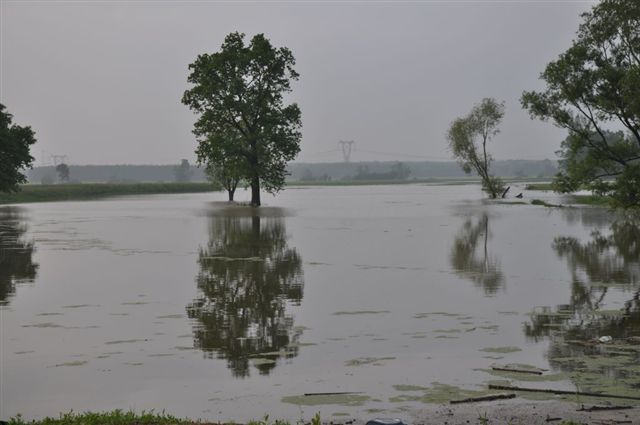 Umacnianie wałów