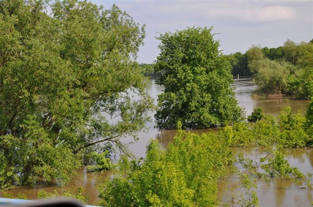 Odra pod Lubiążem