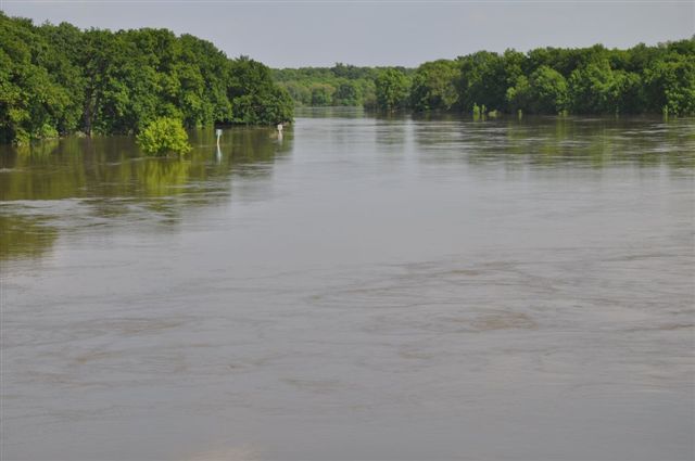 Odra pod Lubiążem