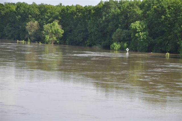 Odra pod Lubiążem