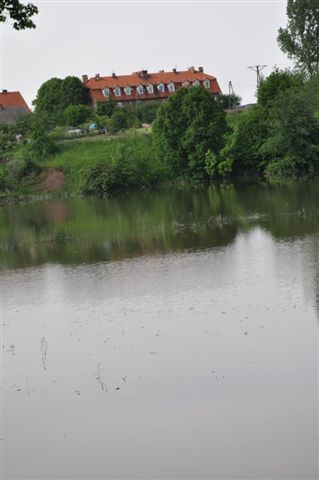 Odra pod Lubiążem