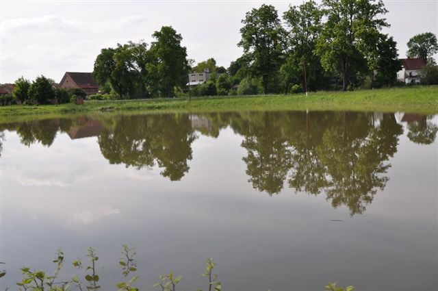 Odra pod Lubiążem