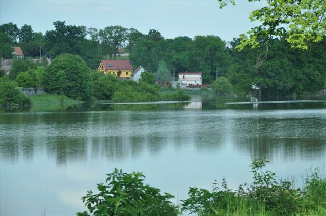 Odra pod Lubiążem