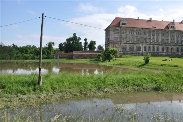 Odra pod Lubiążem