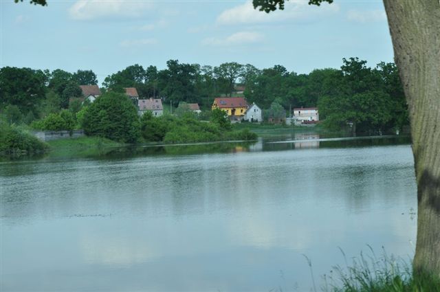 Odra pod Lubiążem