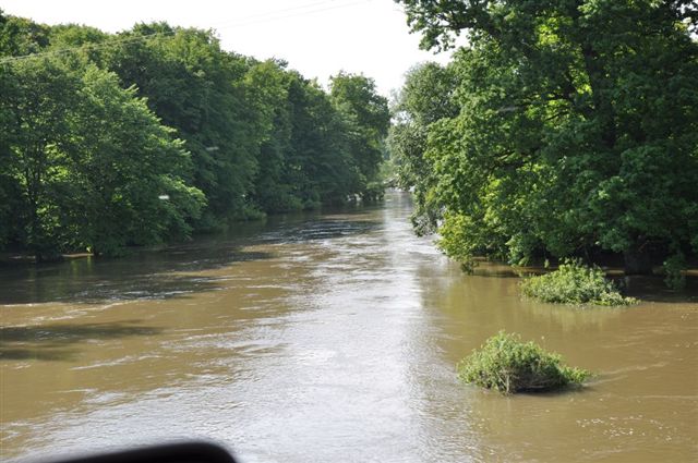 Odra pod Lubiążem