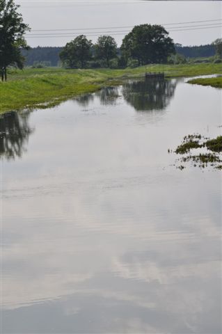 Odra pod Lubiążem