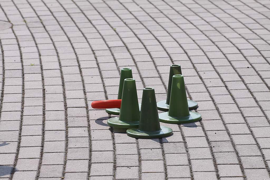 Stop Przemocy po raz piąty