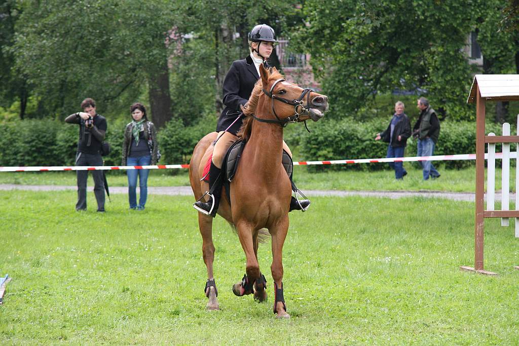 Kowale w Legnicy cz.5