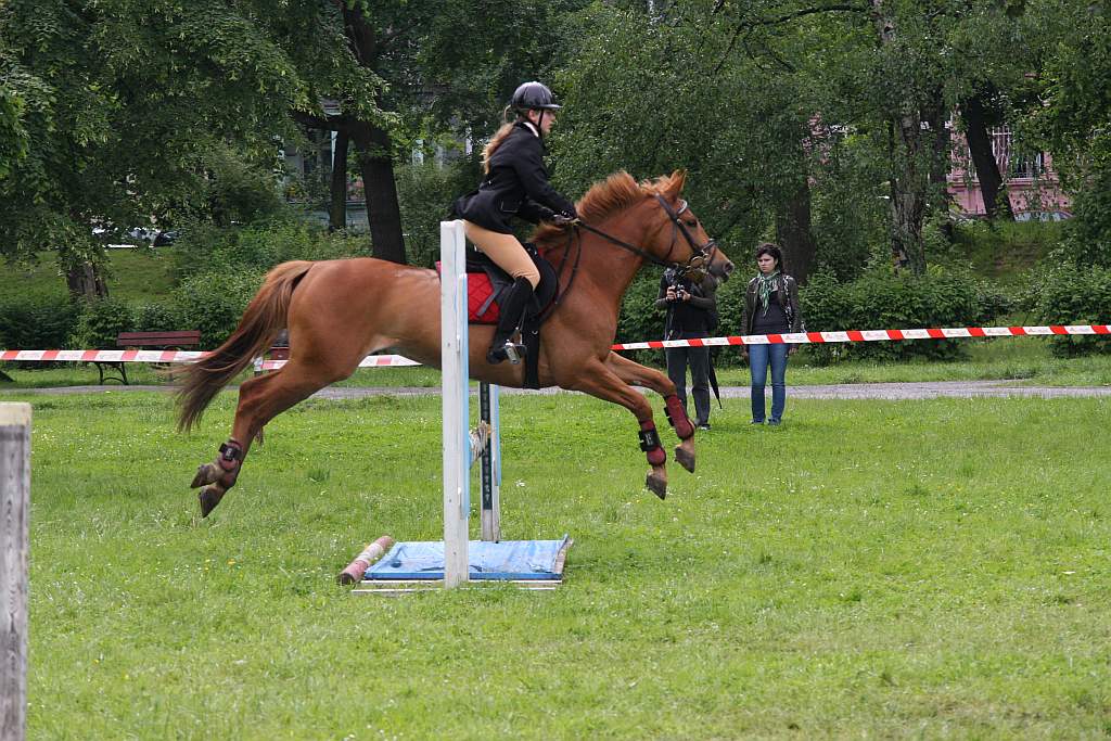 Kowale w Legnicy cz.5