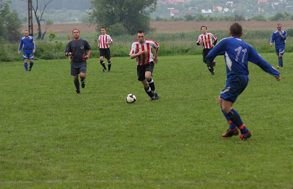 Błękitni - Mewa