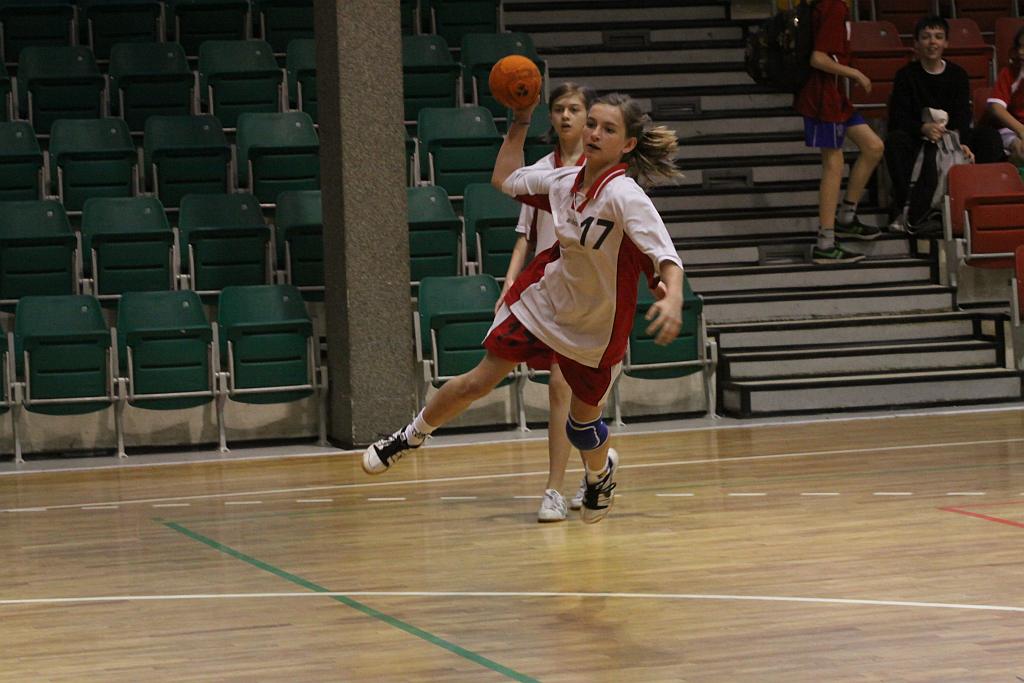 Lion Cup cz.1