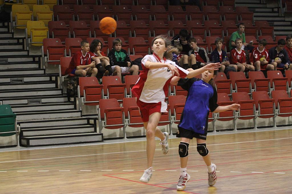 Lion Cup cz.1