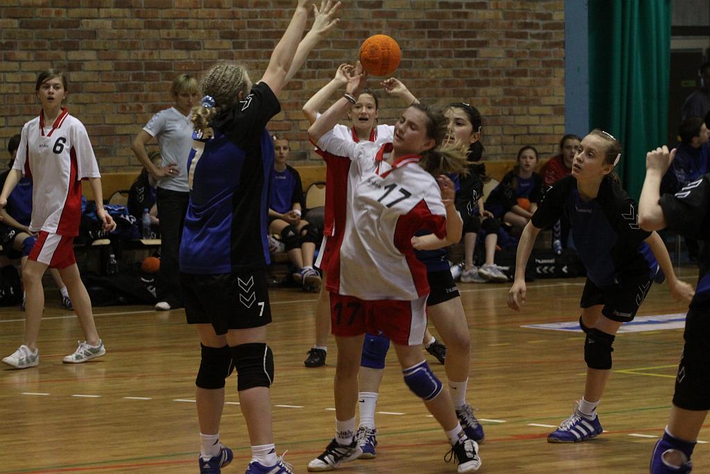 Lion Cup cz.1