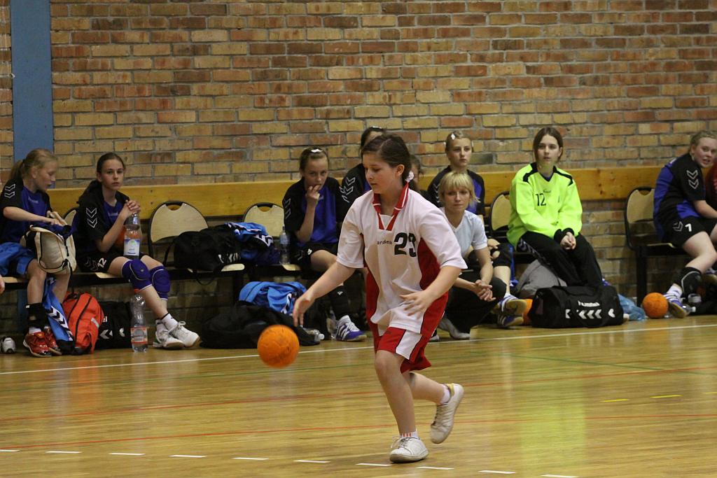 Lion Cup cz.1