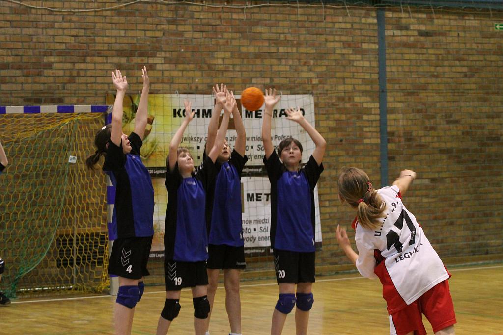 Lion Cup cz.1