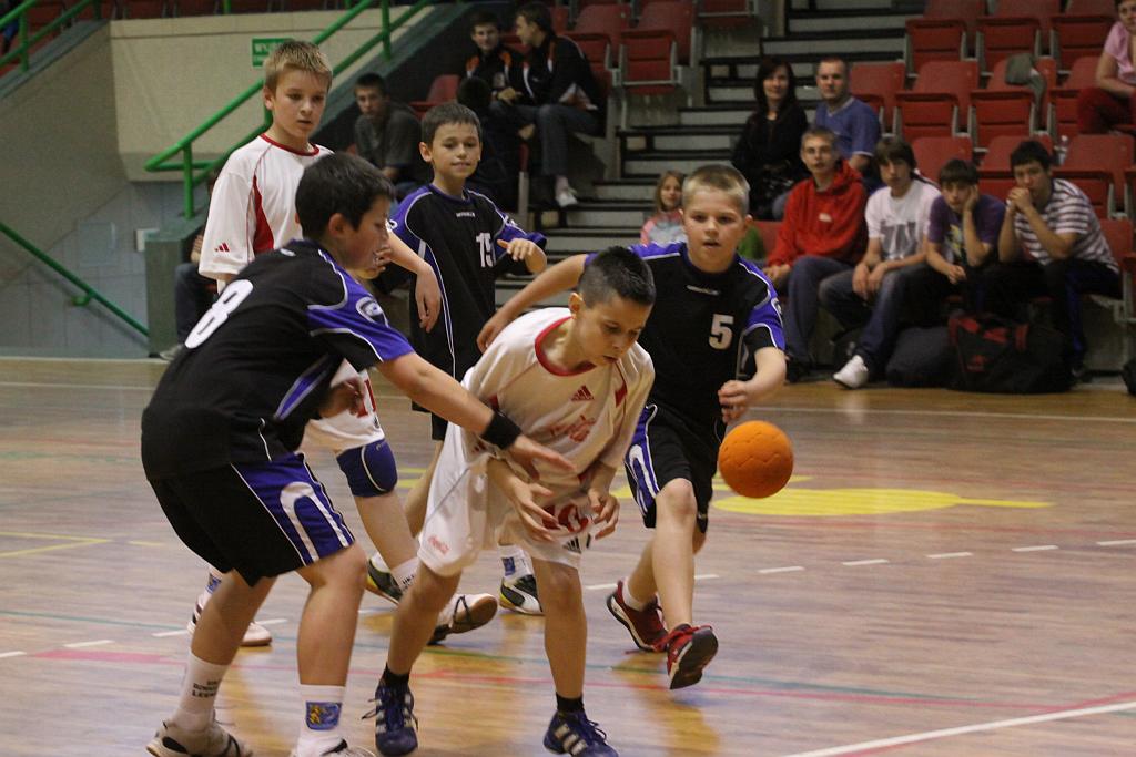 Lion Cup cz.1