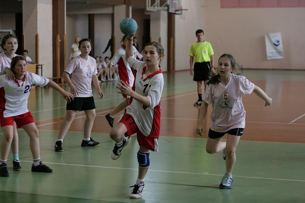 Lion Cup cz.2