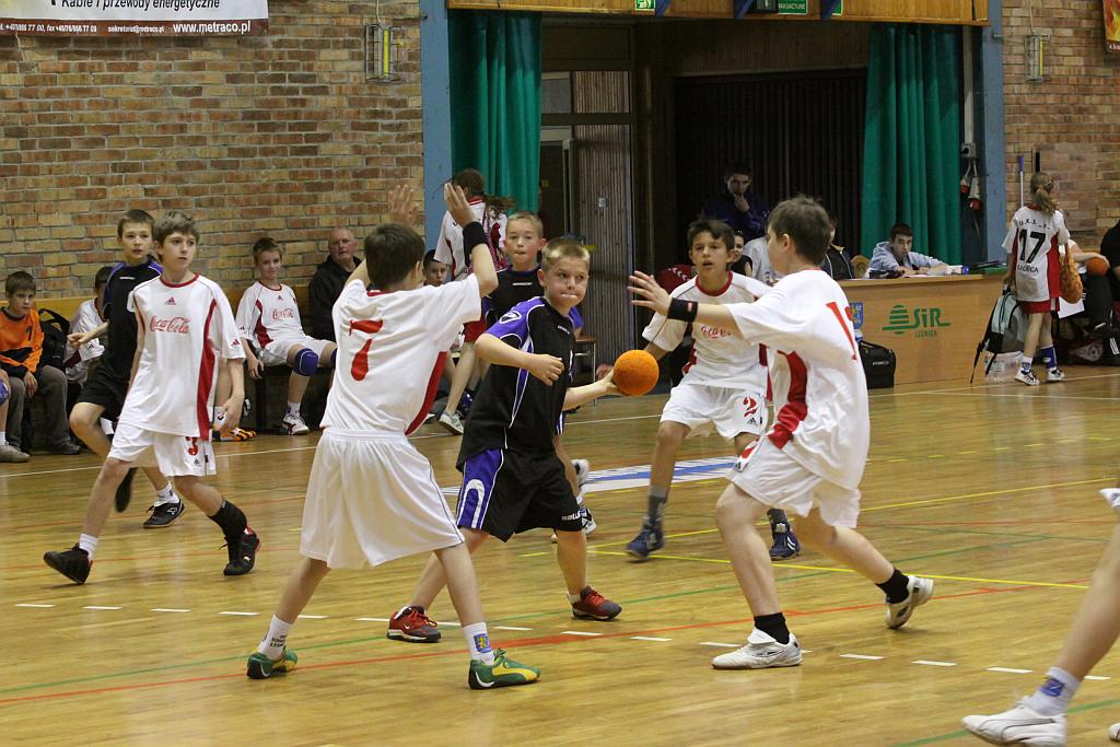 Lion Cup cz.1