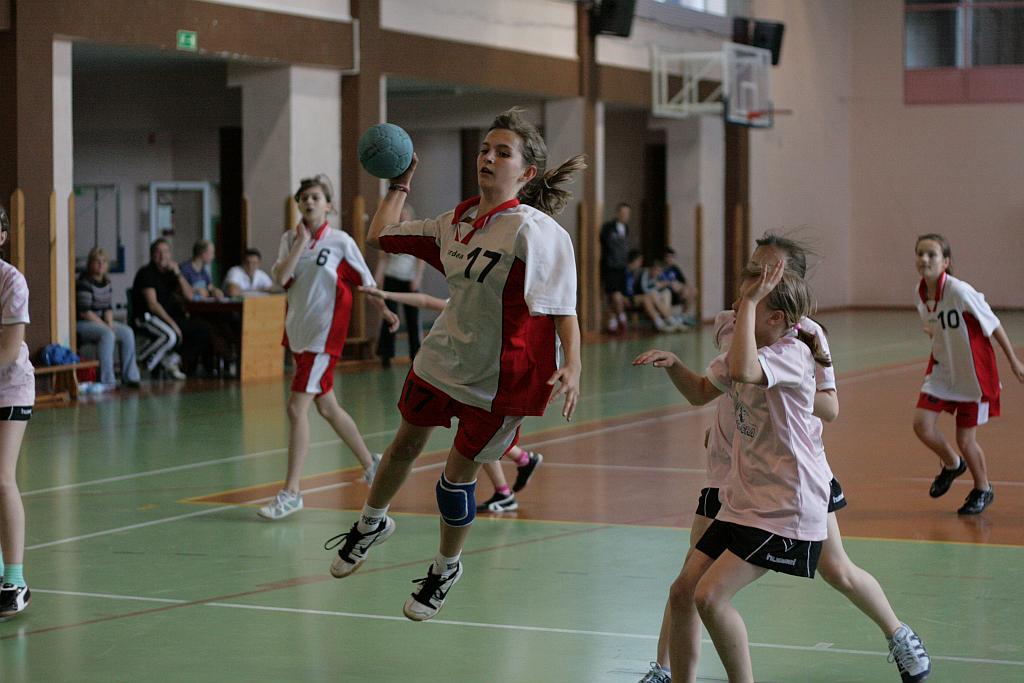 Lion Cup cz.2