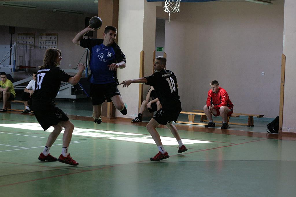 Lion Cup cz.2