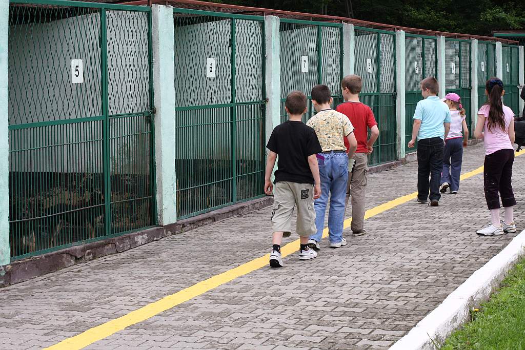 Dzień dziecka w schronisku