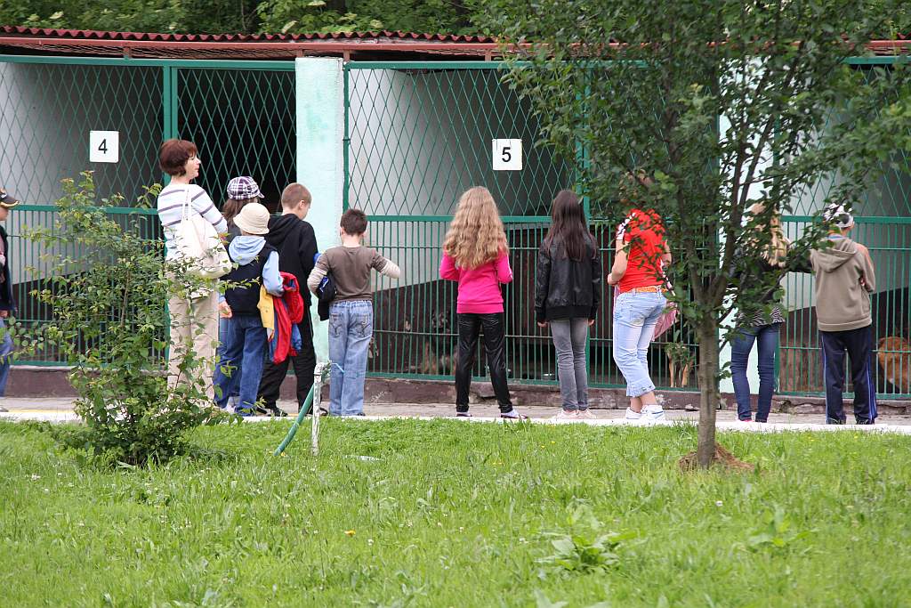 Dzień dziecka w schronisku