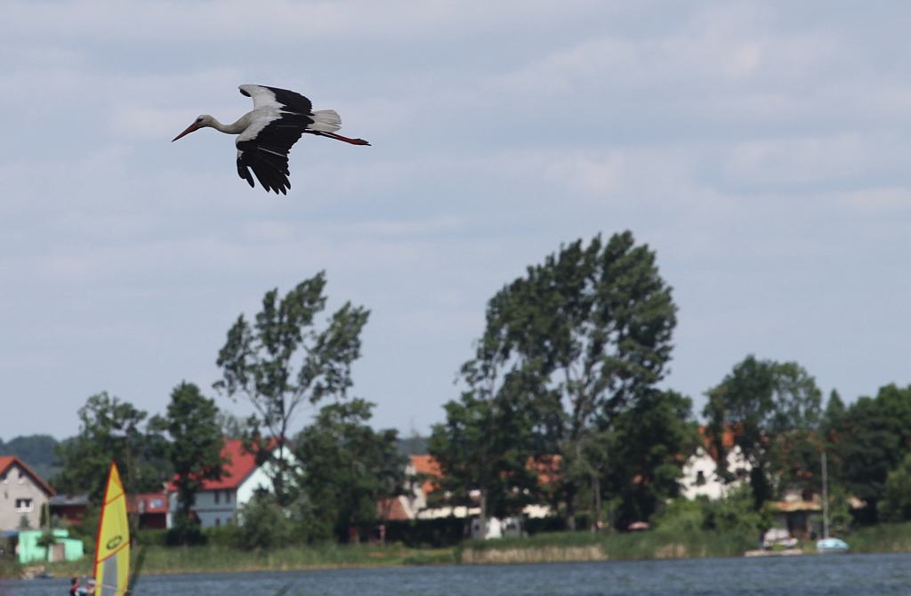 Żagle bez barier