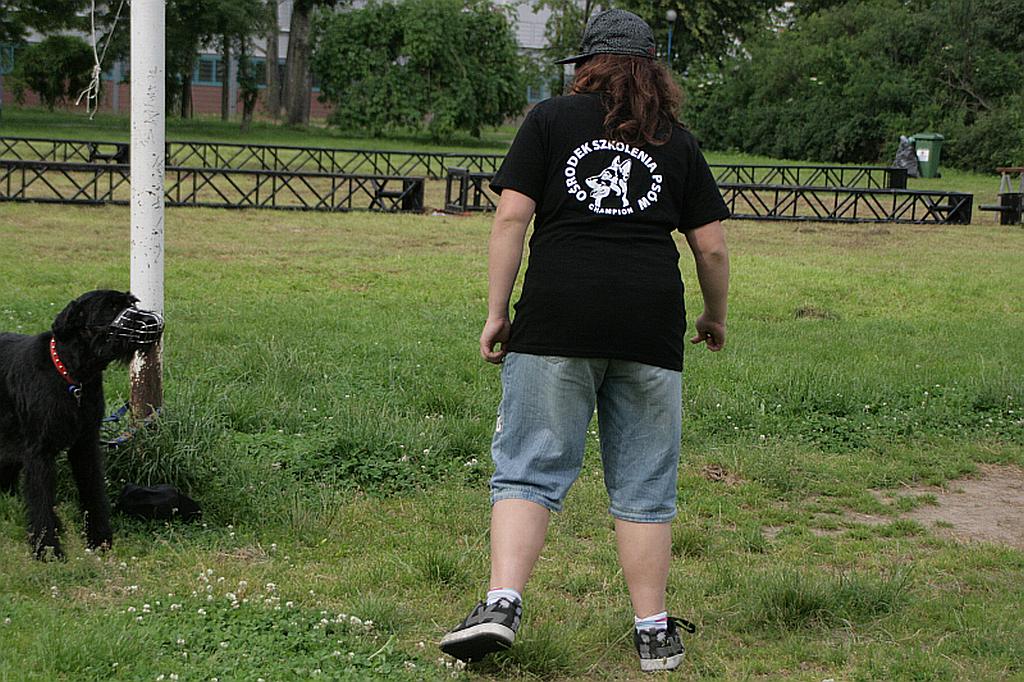 Cztery łapy
