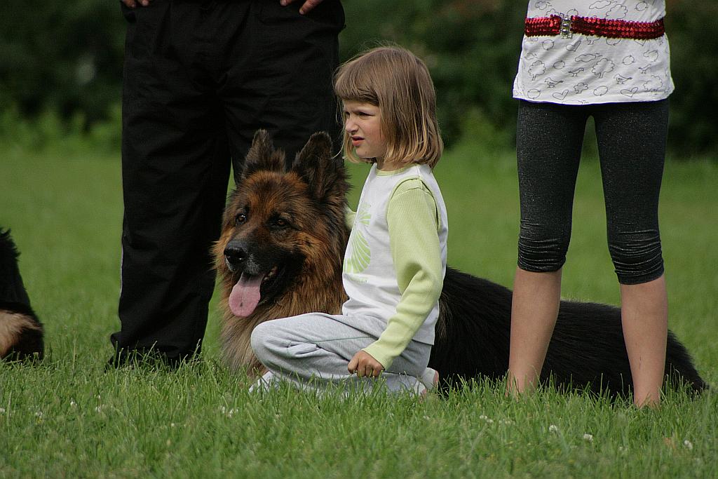 Cztery łapy