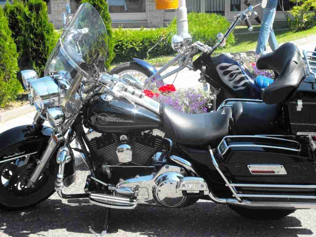 Piknik Harley-Davidson
