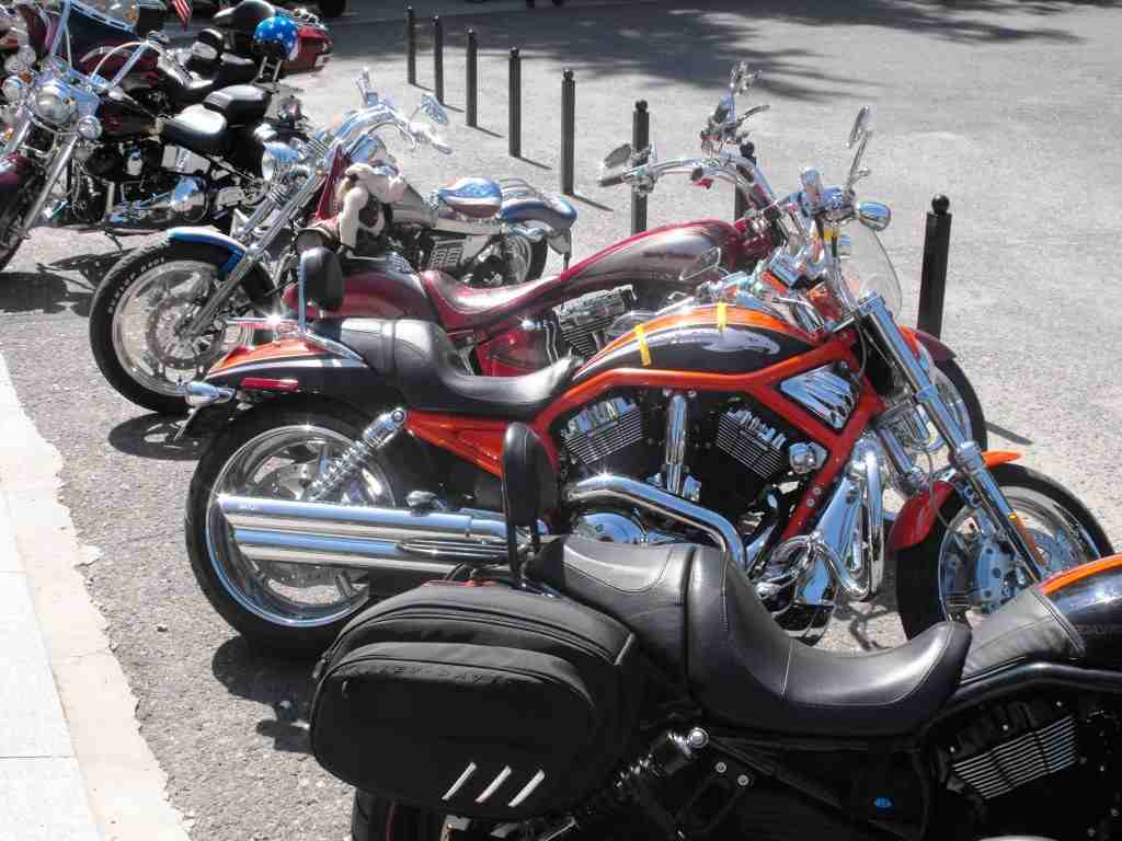 Piknik Harley-Davidson
