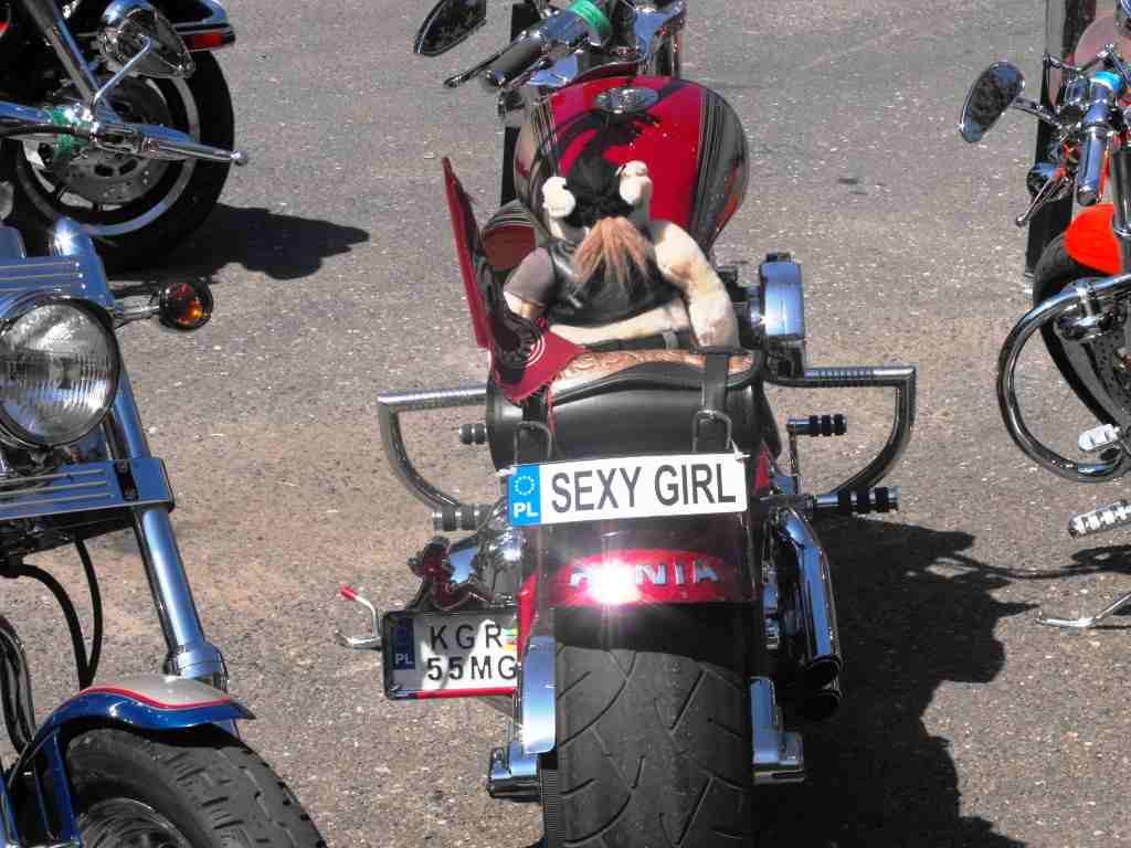 Piknik Harley-Davidson