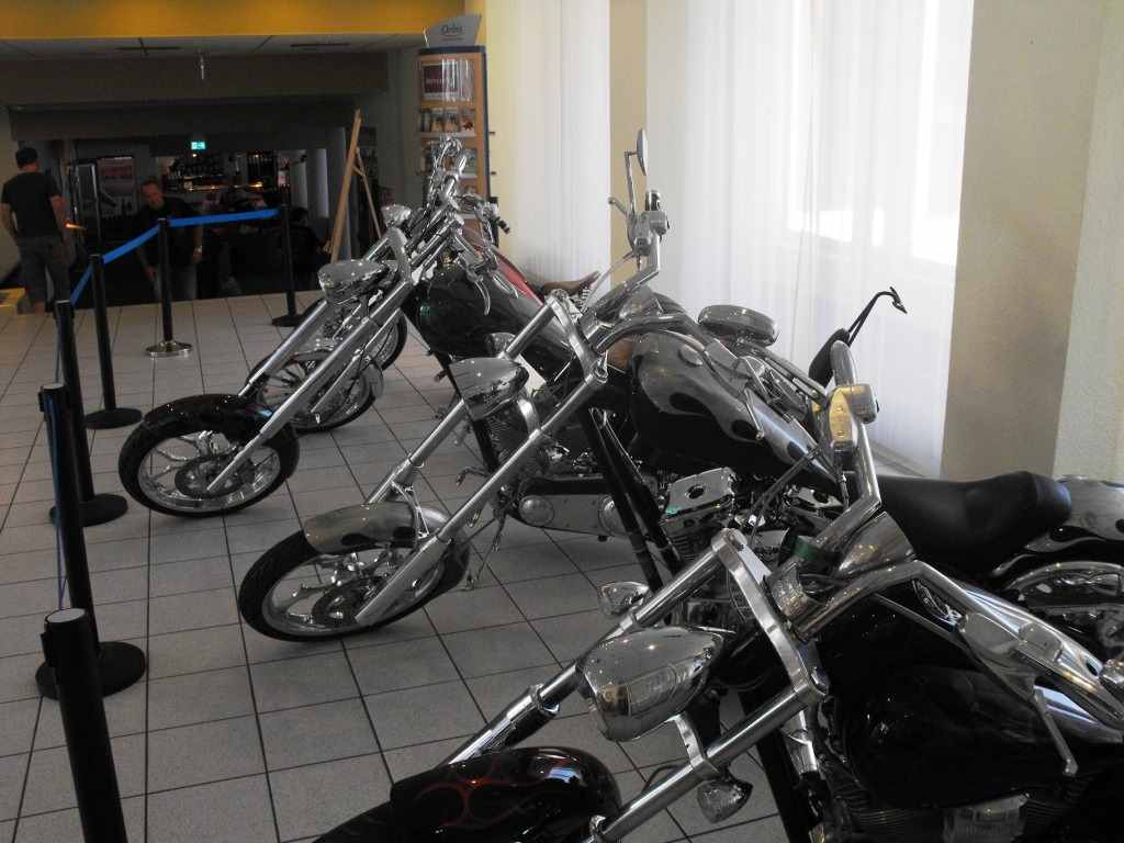 Piknik Harley-Davidson
