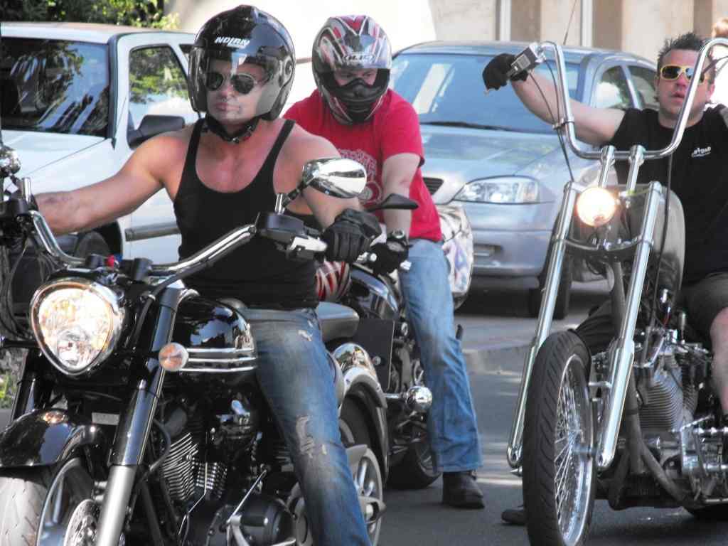 Piknik Harley-Davidson