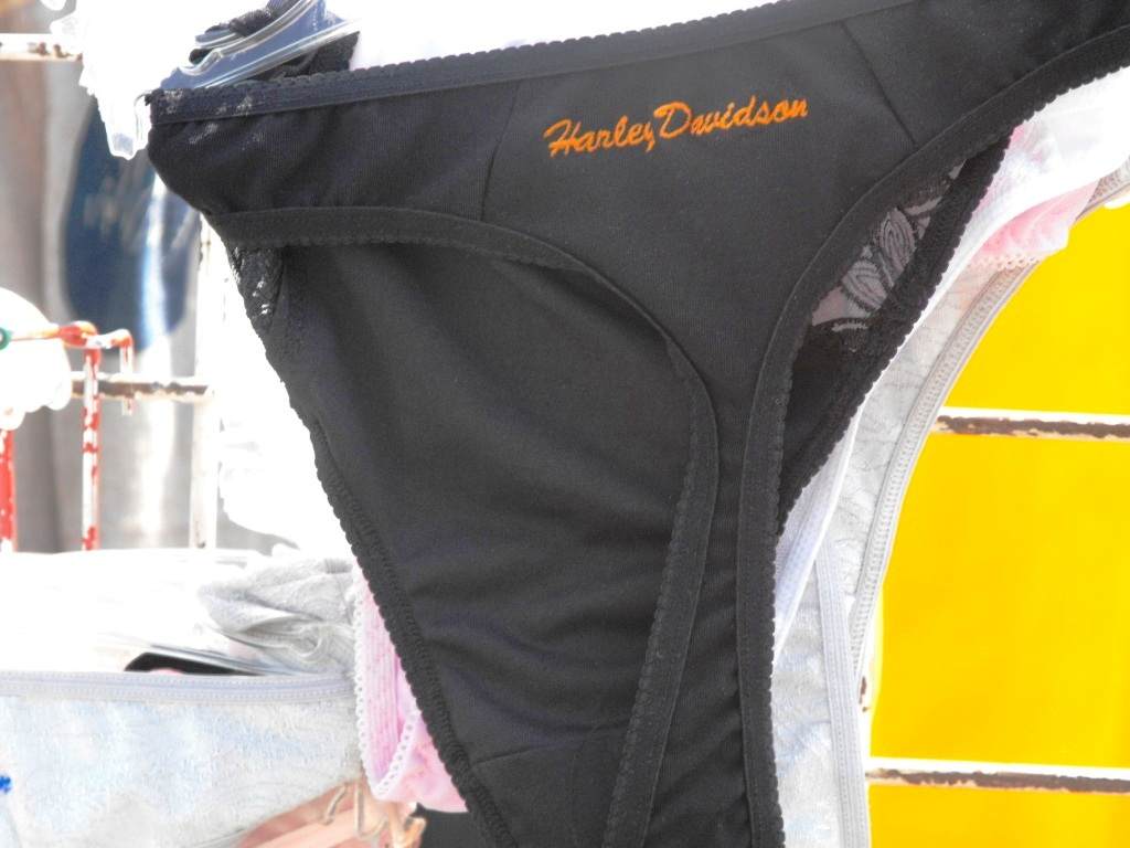 Piknik Harley-Davidson