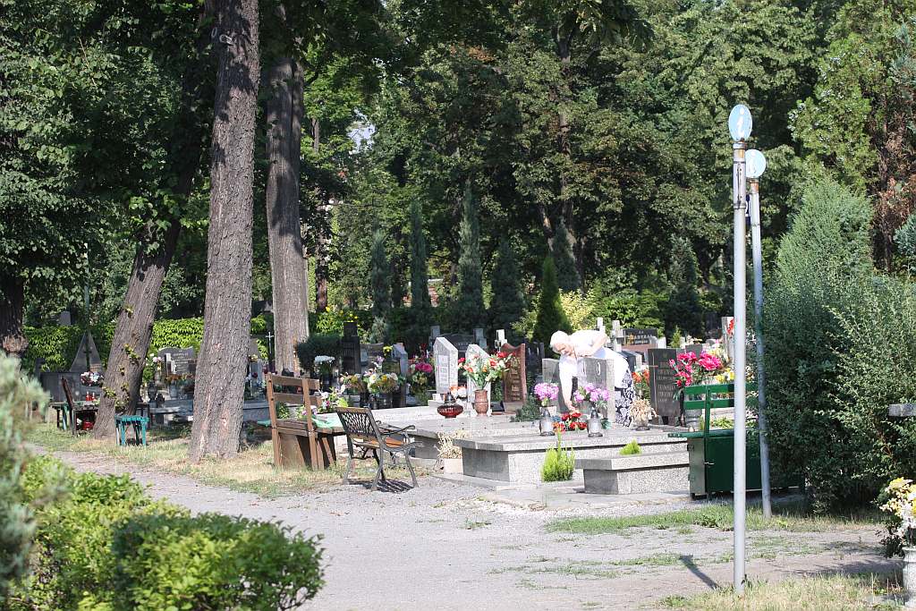 Legnicki Cmentarz