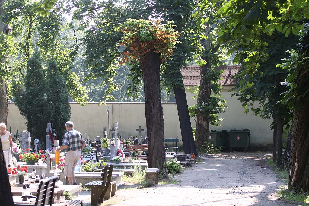Legnicki Cmentarz