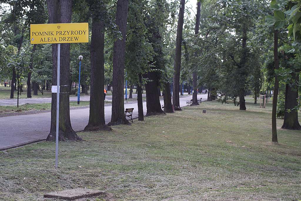 Legnicki Park