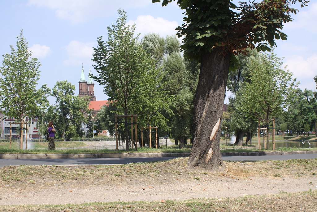 Legnicki Park