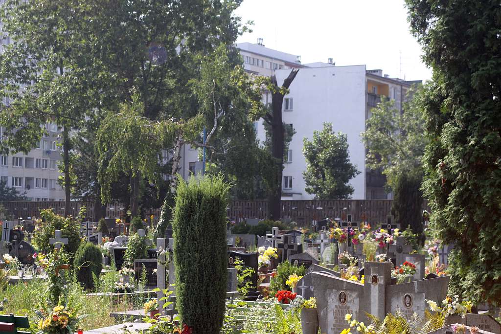 Legnicki Cmentarz