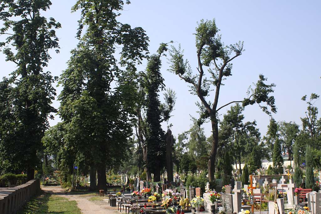 Legnicki Cmentarz