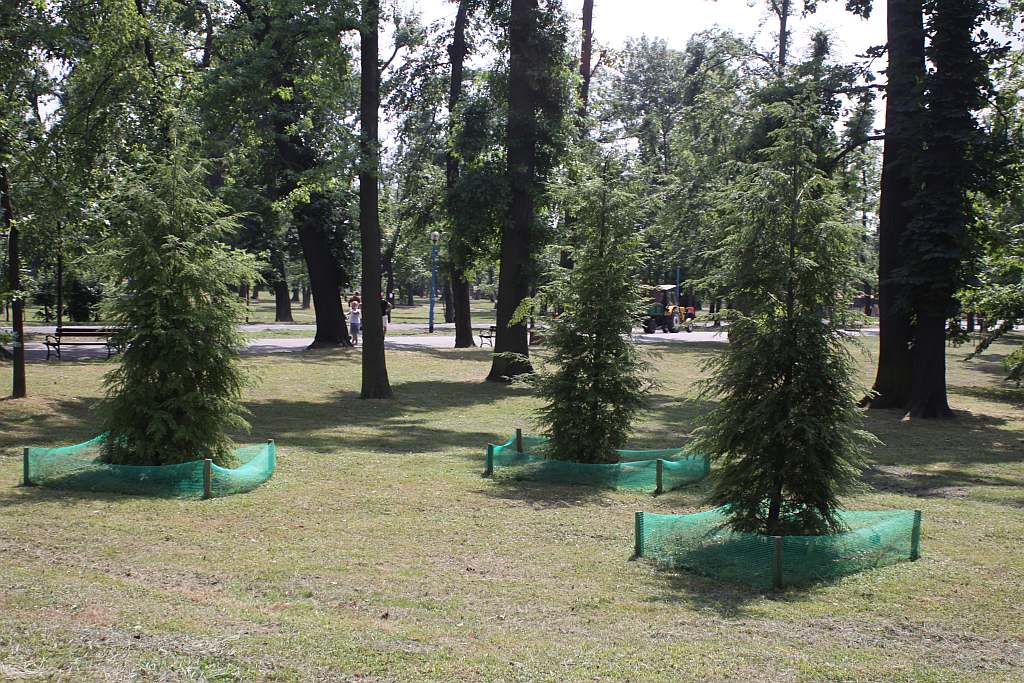 Legnicki Park