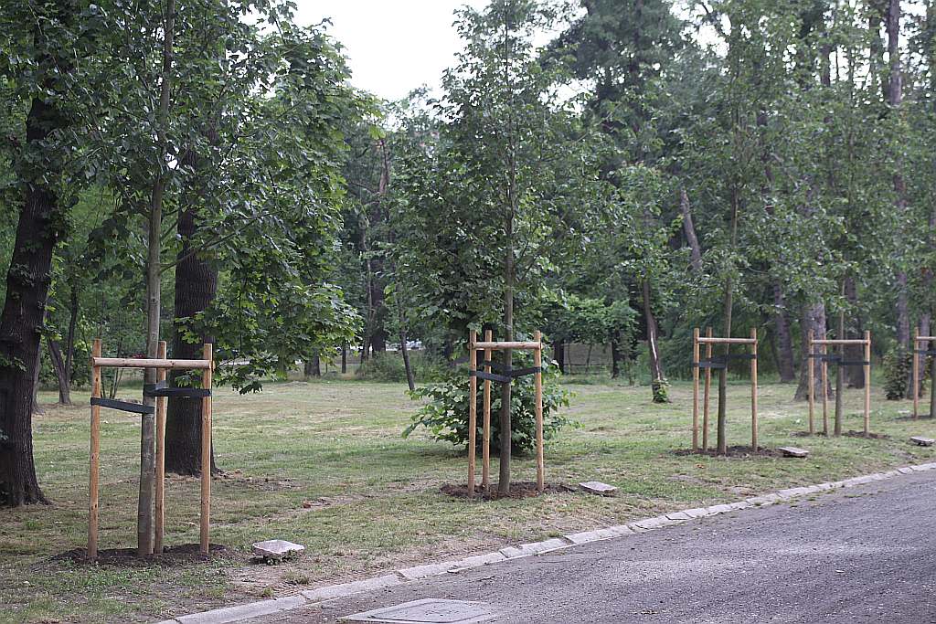 Legnicki Park